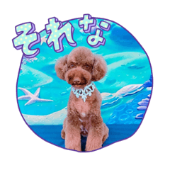 [LINEスタンプ] ひじきさんとゆかいな家族 vol.6