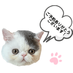 [LINEスタンプ] おにぎり丸くん①敬語版