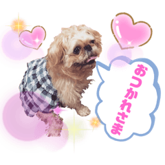 [LINEスタンプ] マルスFamily 2
