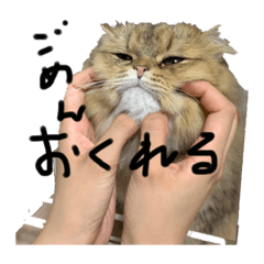 [LINEスタンプ] なのみる