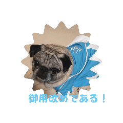 [LINEスタンプ] パグの歳三ドラゴンタイガー2