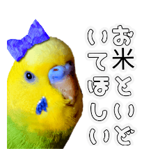 [LINEスタンプ] ピピとクリムの家族会話スタンプ