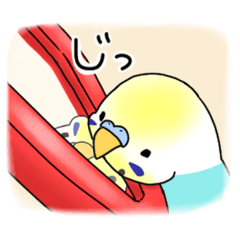 [LINEスタンプ] ソラピすたんぷ