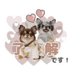 [LINEスタンプ] うにちゃんと、ほたてくん。
