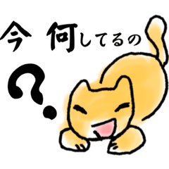 [LINEスタンプ] 今なにしてる？言葉のキャッチボールねこ編