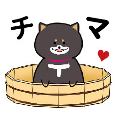 [LINEスタンプ] ちまごろーの日常スタンプ