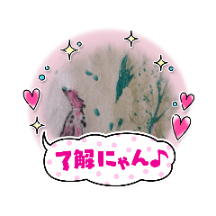 [LINEスタンプ] 火炎鳥