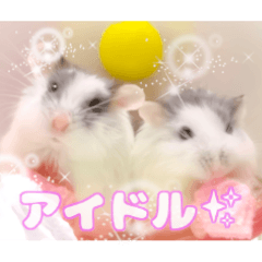 [LINEスタンプ] 咲良のタカラモノ✨