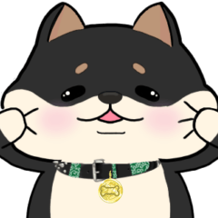 [LINEスタンプ] 柴犬のりくん 文字入りスタンプ