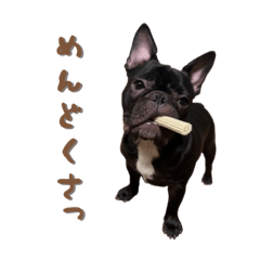 [LINEスタンプ] くう‘s BEST