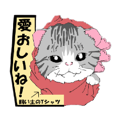 [LINEスタンプ] 風来の猫達！！Vol.01