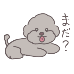 [LINEスタンプ] おれ、ラブラドゥードルのロビーだよ