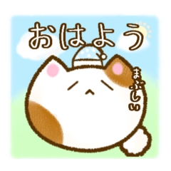 [LINEスタンプ] 毎日使えなさそうな猫スタンプ