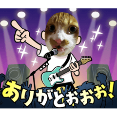 [LINEスタンプ] 猫、人、風景、宝物