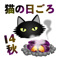 [LINEスタンプ] 猫の日ごろ14 毛が長い黒猫3 秋