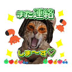 [LINEスタンプ] 猫❤️デカ文字❤️ミケ❤️キジトラ❤️日常