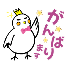 [LINEスタンプ] オカメインコ♥シンプルで毎日使える