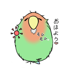 [LINEスタンプ] インコの日常（テテポポ）