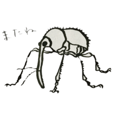 [LINEスタンプ] 気持ち悪い虫のスタンプ vol.2
