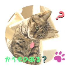 [LINEスタンプ] コウメちゃんスタンプ①