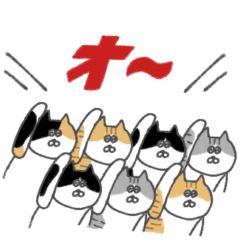 [LINEスタンプ] ニコニコねこちゃん (ぽっちゃり)