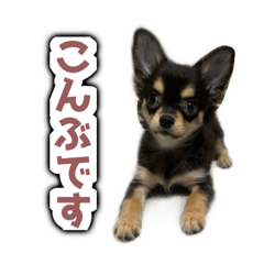 [LINEスタンプ] こぶしらぁ！
