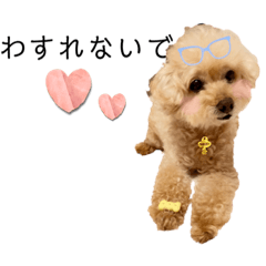 [LINEスタンプ] ちっちゃいプードルしゅくるちゃん5