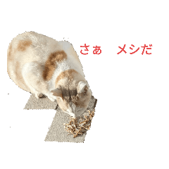 [LINEスタンプ] ワシのGO