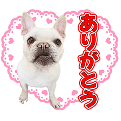 [LINEスタンプ] アンとネオのかわいいスタンプ