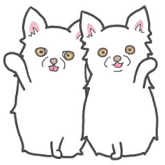 [LINEスタンプ] 2匹は仲良し ＊日常＊