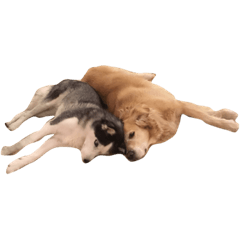 [LINEスタンプ] ほたさくの里