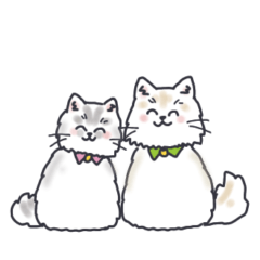 [LINEスタンプ] チンチラ猫兄妹