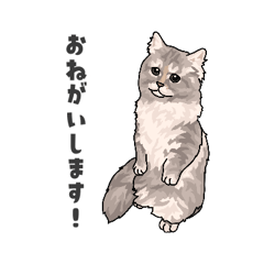 [LINEスタンプ] マンチカン1