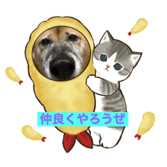 [LINEスタンプ] こうめ日和NO.1