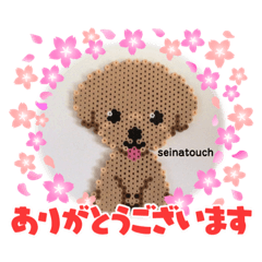 [LINEスタンプ] seinatouch（セイナタッチ）のスタンプ