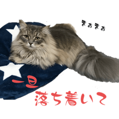 [LINEスタンプ] サイベリなライアン