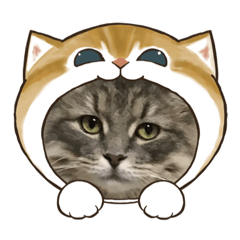 [LINEスタンプ] モフ×ライアン