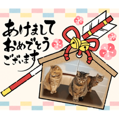 [LINEスタンプ] ZONO family ②