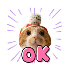 [LINEスタンプ] ピー助とゆかいななかまたち その③