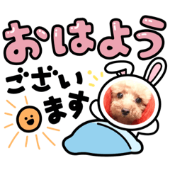 [LINEスタンプ] アイちゃんキナちゃん【日常編】