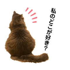 [LINEスタンプ] ハウルとチクワ2