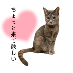 [LINEスタンプ] モカミスタンプ①