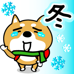 [LINEスタンプ] 柴犬の冬。【日常】