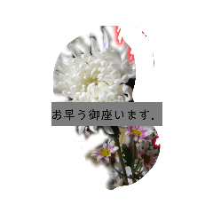 [LINEスタンプ] 月山いY44ら員ス炭ぷ葬式的なフラワー