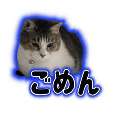 [LINEスタンプ] むぎむぎどんどん