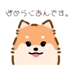 [LINEスタンプ] ぽめらにあん！！