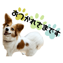 [LINEスタンプ] ミックス犬こころpart2
