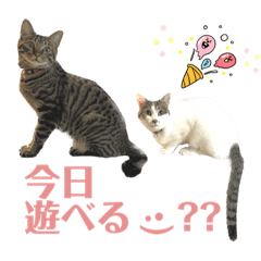 [LINEスタンプ] のあねろ⑥