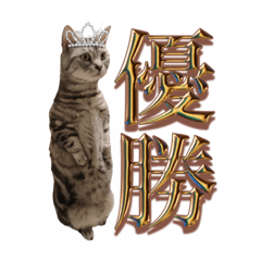 [LINEスタンプ] 世界一可愛いマンチカンねるの画像（メイン）