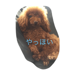[LINEスタンプ] ここあちゃんの日常3